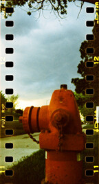 "Fire Hydrant" Picture named "Fire Hydrant" with normal film development
