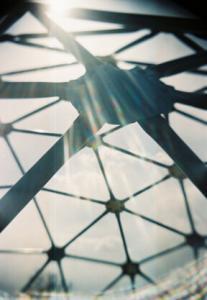 jungle_flare Pictured titled "Jungle Flare" taken with a Gakken Flex